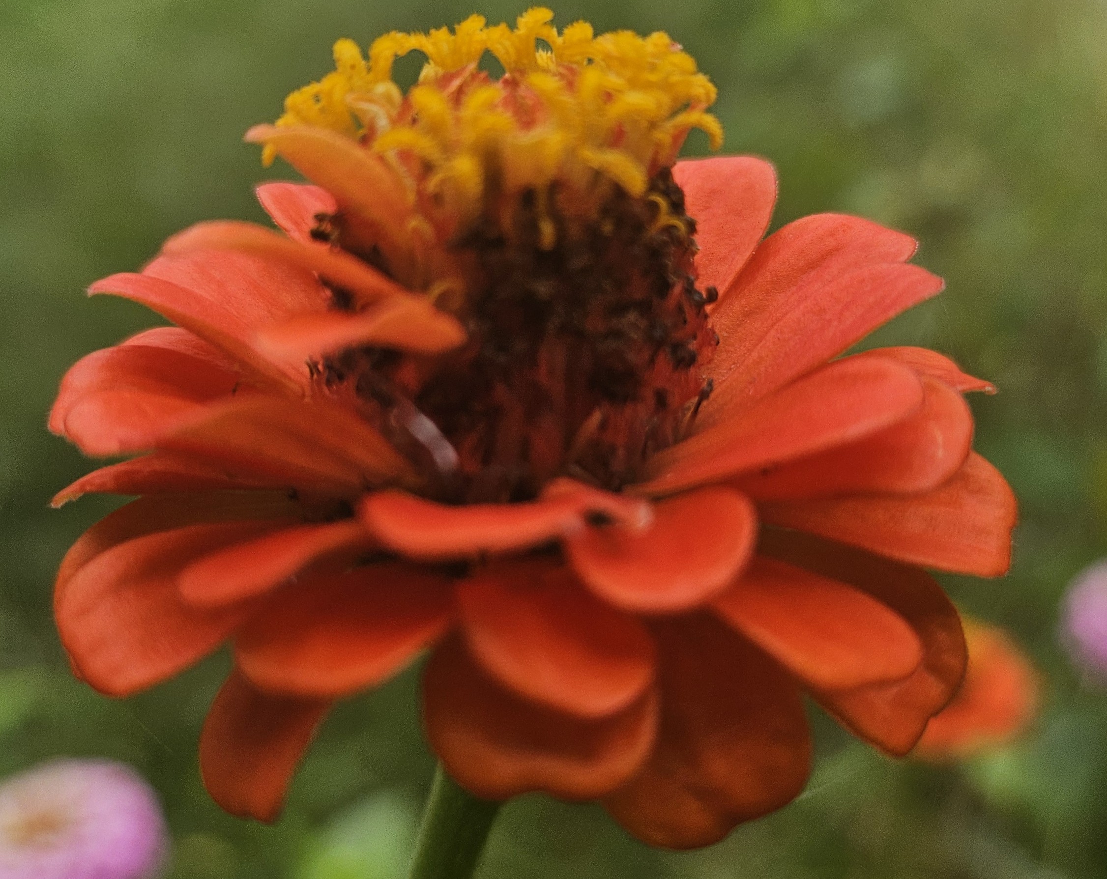 Photography frame — light and texture